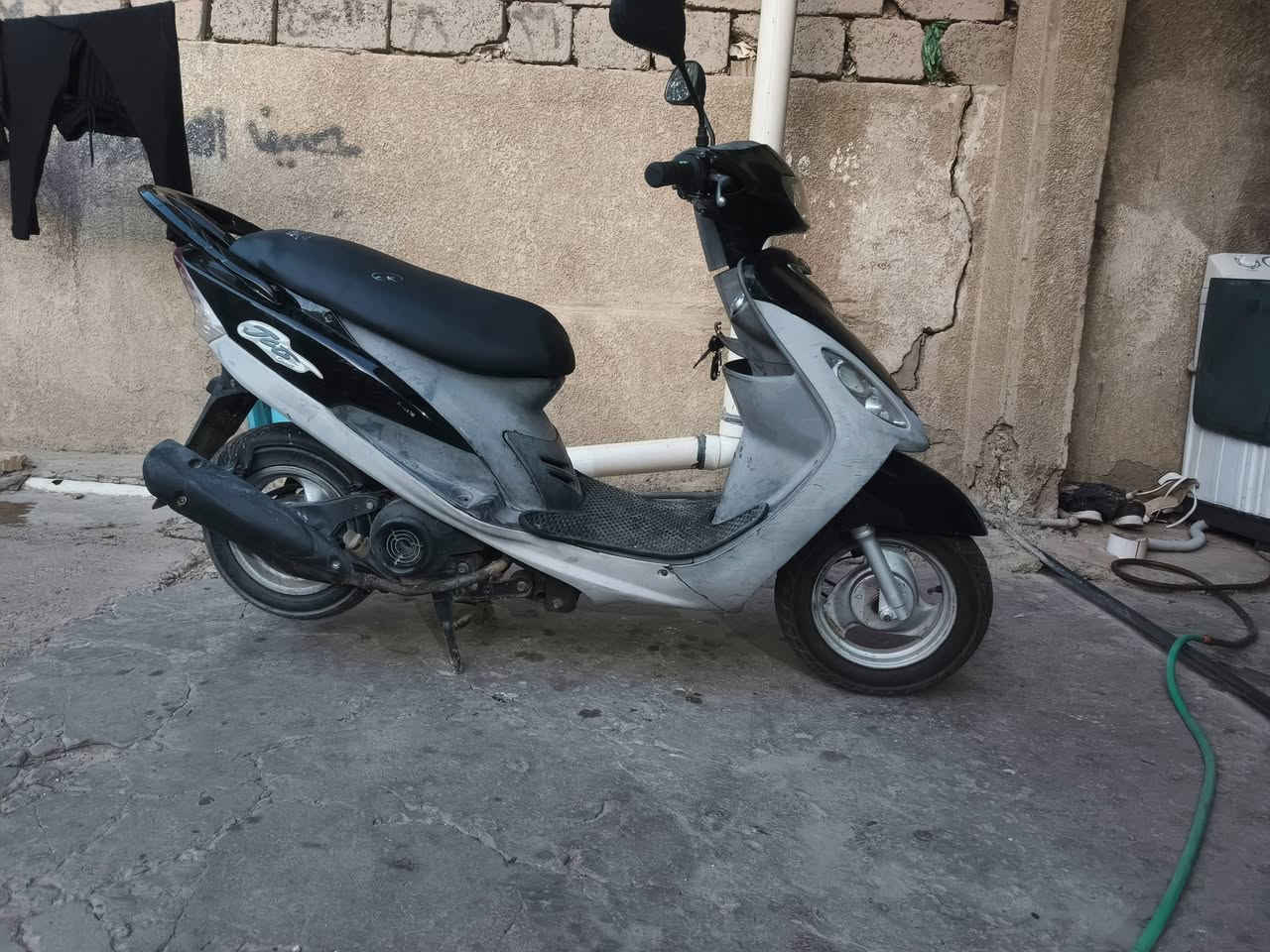 السلام عليكم ماكس منغولي للبيع ستفسار خاص او انتصال ***********
