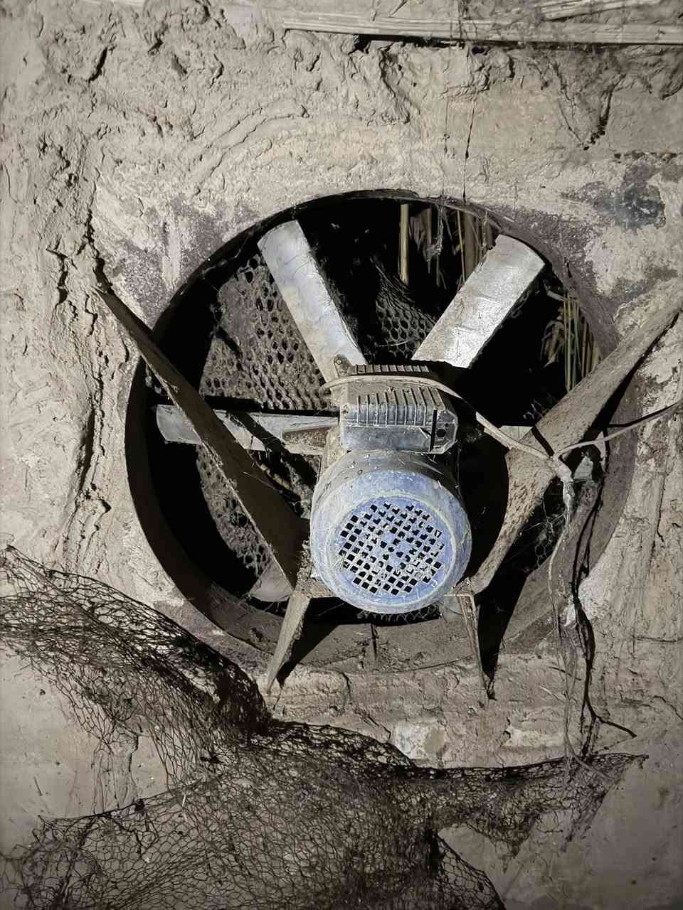 السلام عليكم حقل دواجن البيع حديد وا مفراغات مال اعلاف السعر مناسب اليحب ياتصل ع الرقم 
***********
