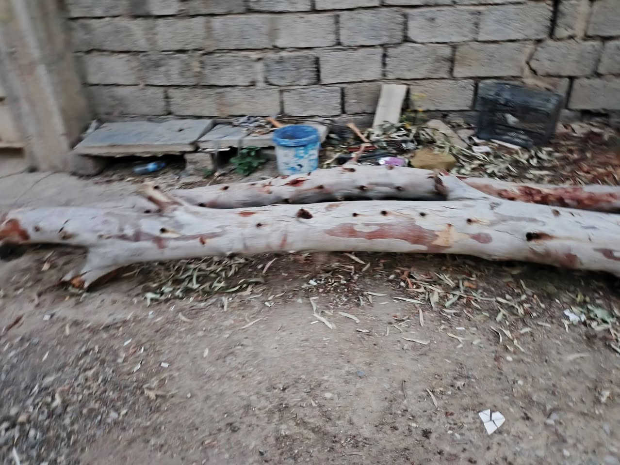 للبيع ماعرف شكد يسوه


**إذا كنت صاحب هذا الإعلان وتريد حذفه لأي سبب، رجاءا أرسل رسالة إلى الدعم الفني**