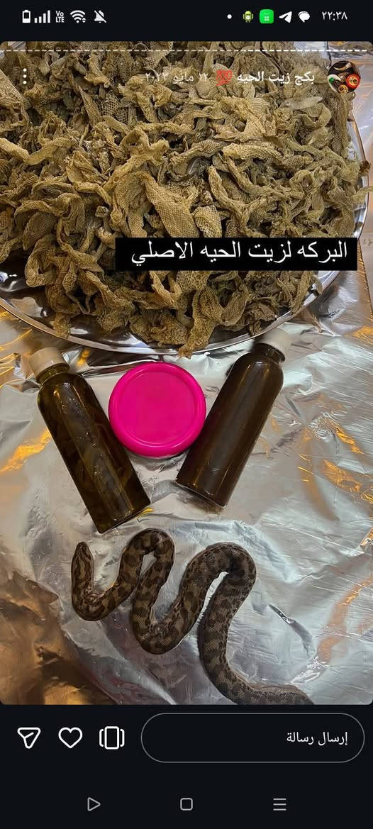 زيت الحيه الاصلي مدون اي اضافه 
فؤائد 
١-تطويل شعر بشكل واضح
٢تواقف تساقط الشعر  
٣-ملاء فرغات في الشعر 
٤-ملاء فرغات بين شعر
٥- علاج داء ثعلبه
ملاحظه : لا يجوز صلاه فيه ولا يستخدم الاطفال ثلاث سنوات وأقل ولا يستخدم الرموشش عمارة, ميسان


**إذا كنت صاحب هذا الإعلان وتريد حذفه لأي سبب، رجاءا أرسل رسالة إلى الدعم الفني**