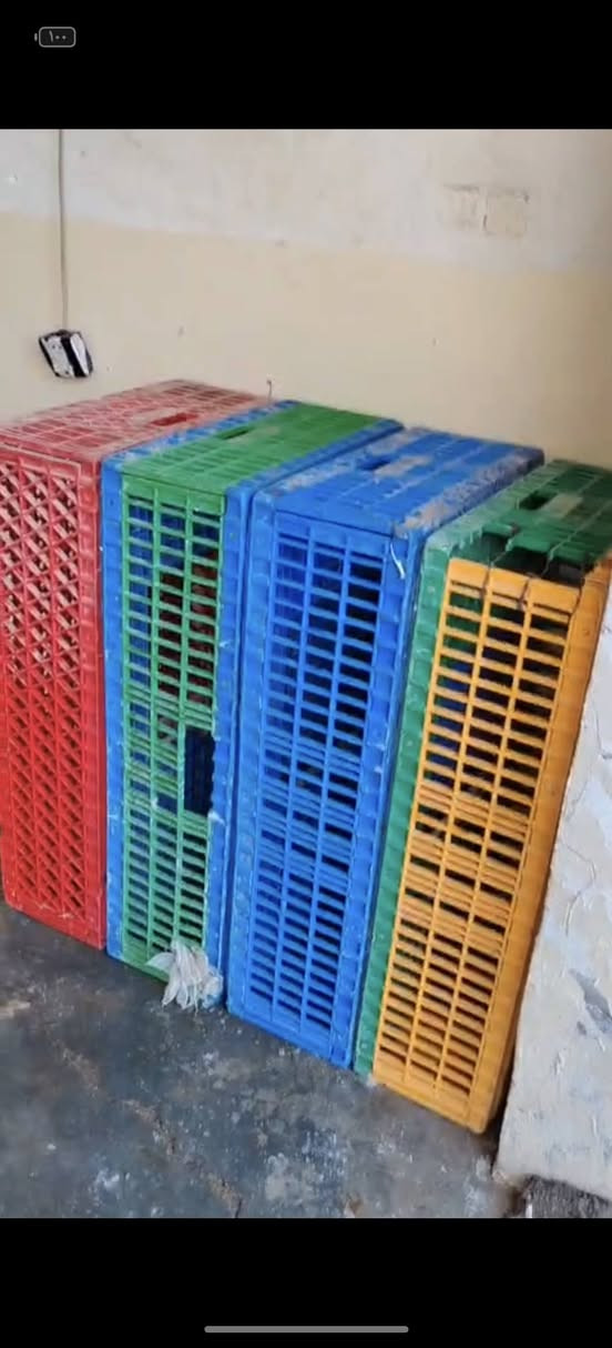 1هلاسه دجاج بلشرط
2ميزان اكتروني شرط مضبوط 150 كيلو
3مذبحه دجاج
4سنك مع كاونتر
5جدر مع بريمز عدد2
6تانكي مي عدد 2
7سجينه باله عدد 2
8 قفص دجاج عدد 2
9 گيزر ماي بلشرط 
10 مولد تايگر 12 امبير بلشرط 
عنوان كركوك
*********** وتساب وخاص مفتوح
السعر 600 وبيه مجال للطيبين
