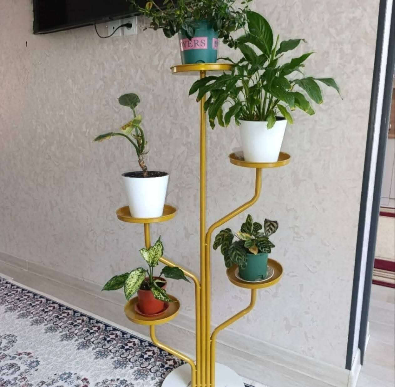 #آخر قطططع🔥
#ستاند زرع ذهبي أنيق ✨

🔹لمسة فخامة تكمّل ديكور بيتك أو مكتبك
🔹تصميم عصري مع لون ذهبي راقي
▪️مُناسب للنباتات الطبيعية والصناعية ❤️
▪️خفيف وسهل النقل ويضيف جمال للمكان مع قاعدة مرمرية ✨

#السعر ٢٥,٠٠٠ الف دينار فقط

 #للحجز والاستفسار مراسلة الصفحة 👍
#يوجد خدمة توصييل لجميع المحافظات 🚛🚐🚛

#ستاند_زرع #ديكور_منزل #ديكور_عصري #نباتات #لون_ذهبي #تنظيم_وترتيب


**إذا كنت صاحب هذا الإعلان وتريد حذفه لأي سبب، رجاءا أرسل رسالة إلى الدعم الفني**