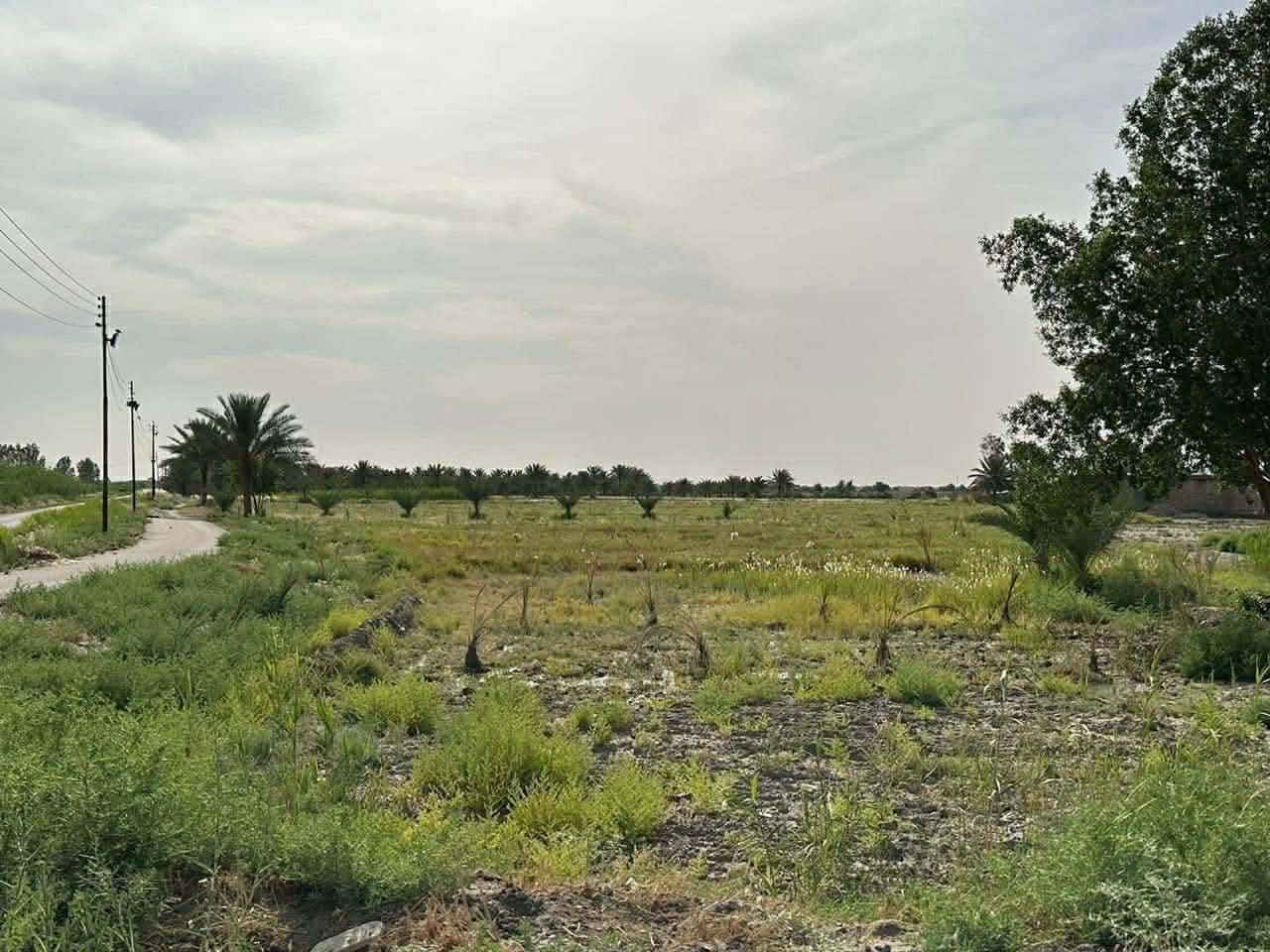 السلام عليكم

تتوفر عدنا دوانم  تصلح للاستثمار او المزارع  بمساحات متعدده وواجهات وابعاد مختلفة

موجوده كهرباء وماء اساله وخدمات كامله سكن ومدارس كلشي موجود منطقة كامله والاسعار تختلف من 25 مليون الى 65 مليون حسب موقع الارض 

مكان الاراضي في التاجي ذراع دجله 
للتواصل والاستفسار على الرقم التالي ***********
