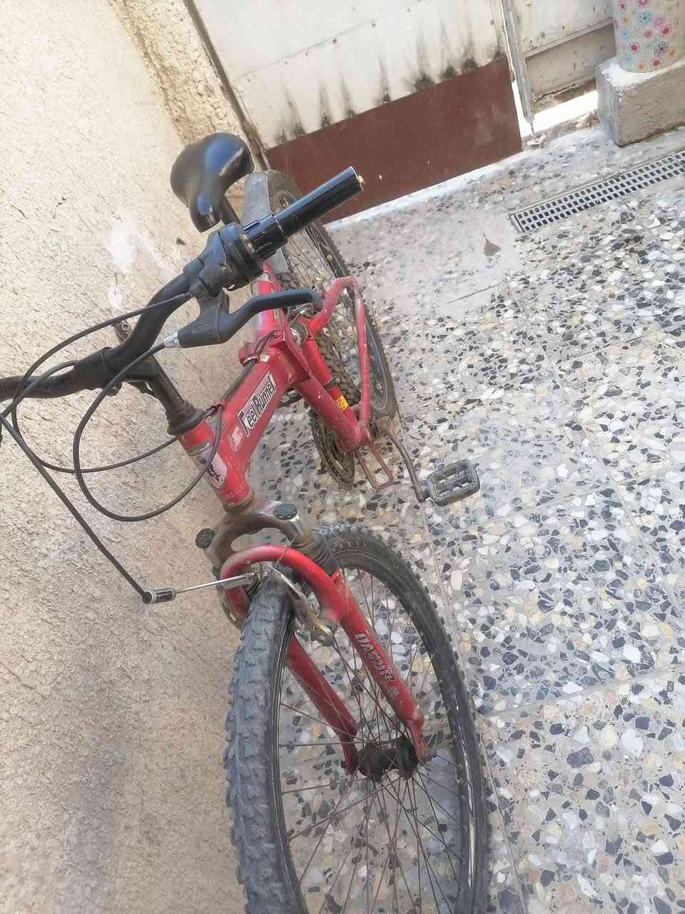 السلام عليكم عندي بايسكل للبيع باسكل خير من الله تيرات جدد أوياله جدد كشن كشر حلو ياباني اصلي فافون بريكات ورا كدام شغالات عكرب٧ نمر سعر 60 وبي مجال  مكان بغداد منطقة الاصلاح قرب منطقة بوب الشام الاسفسار *********** متواجد عل واتساب
