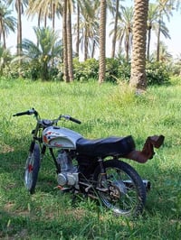 شلامجه • سكنر • مشي فول