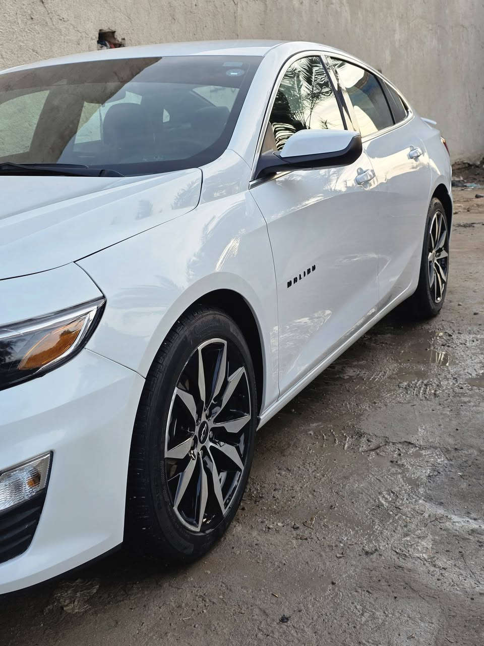 السلام عليكم
ماليبو وارد امريكي
فئه Rs 2023
رقم اربيل  الانكليزي شرط التحول او الوكاله
شاشه كبيره تدعم الكار بلي
تحديد سرعه 
تحديد مسار 
قياده ذاتيه 
ماشيه ٢٠
جناح شركه 
ويل 18 
تحكمات استيرن 
ثلاث انطمه قياده 
صور الحادث بلمنشور 
السعر 135  

رقم الهاتف ***********
