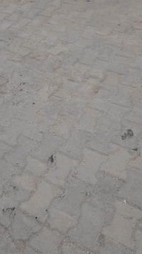 سلام عليكم
دراجة ماكس بوليس كابريتر موديل 2007 دراجة كلش جديدة طك كارتون مكفولة كفالة عامة من كلشي بلادية للاخير شرط خرسة صارلها 4 اشهر طالعة من المعرض للبيع سعرها 750 وبيها مجال مكاني طويريج الشراي يتصل ***********
