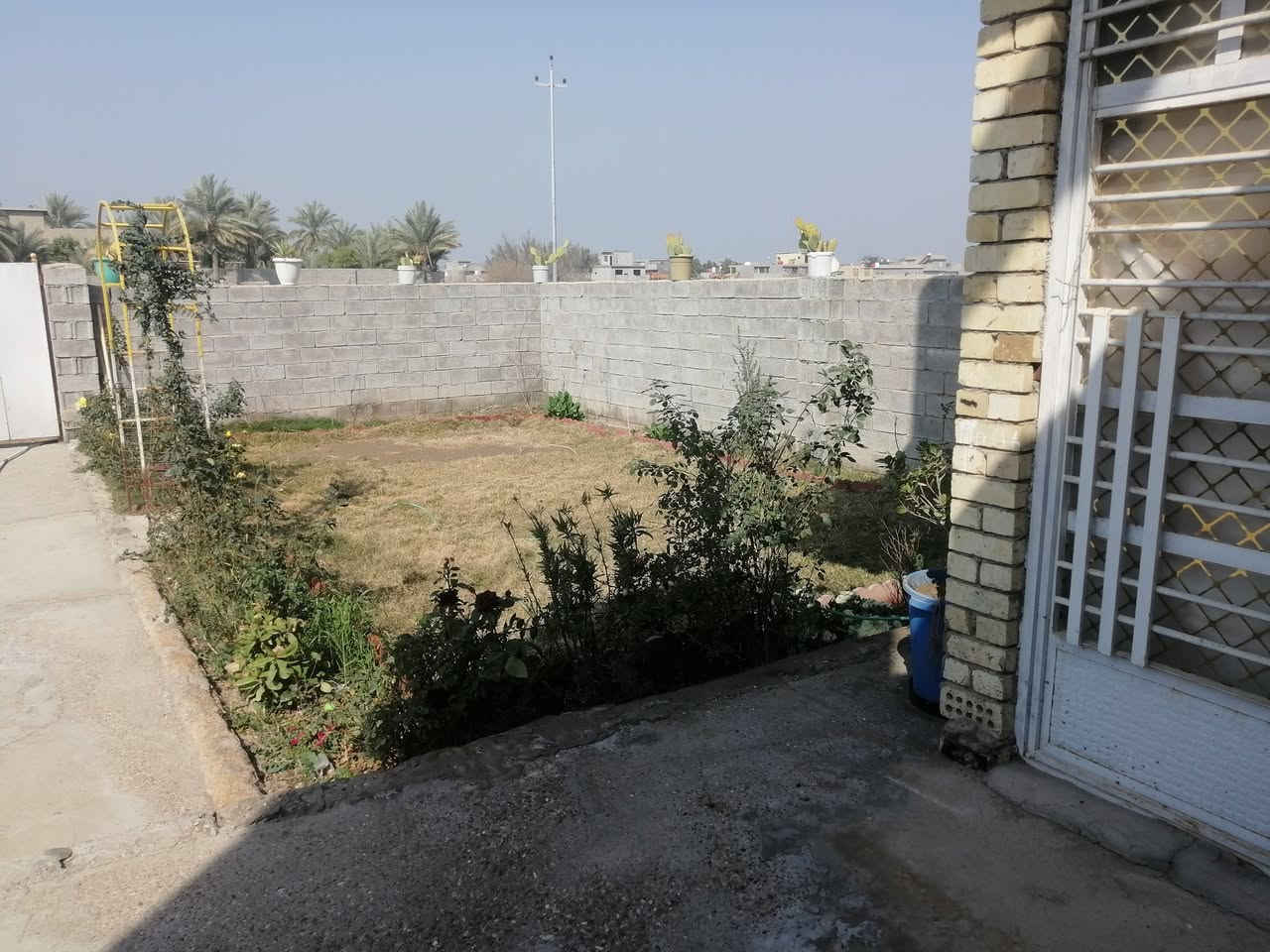 سلام عليكم دار سكن للبيع مساحه 350 متر طابو زراعي سند 25 بناء حديث درجه اولى طابوق مسلح الدار ركن على شارعين خدمات كافه يحتوي الدار على غرفتين نوم صاله صحيات استقبال مطبخ كراج وحديقه كبيره العنوان شارع المطار خلف محلات حسين كامل شارع 40 الجديد السعر 90 مليون رقم الهاتف ***********
