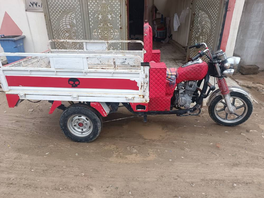 ستوته للبيع فحل 2018 سعر 900 بيها مجال ***********
