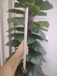 العنوان بغداد الوزيريه شارع نجيب باشا متوفر ايبادين 4 ذاكره 16 ما مبدل...