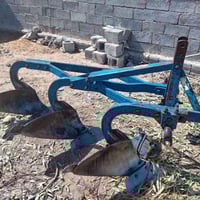 فدان تركي • ١١ فدان • أبو غريب