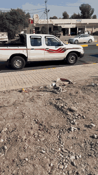 السلام عليكم
نيسان 2003
رقم انكليزي بغداد
حادثهه بسيط
مصبوغه للجماليه
السعر 70  بيها مجال بسيط 
للاستفسار ***********
