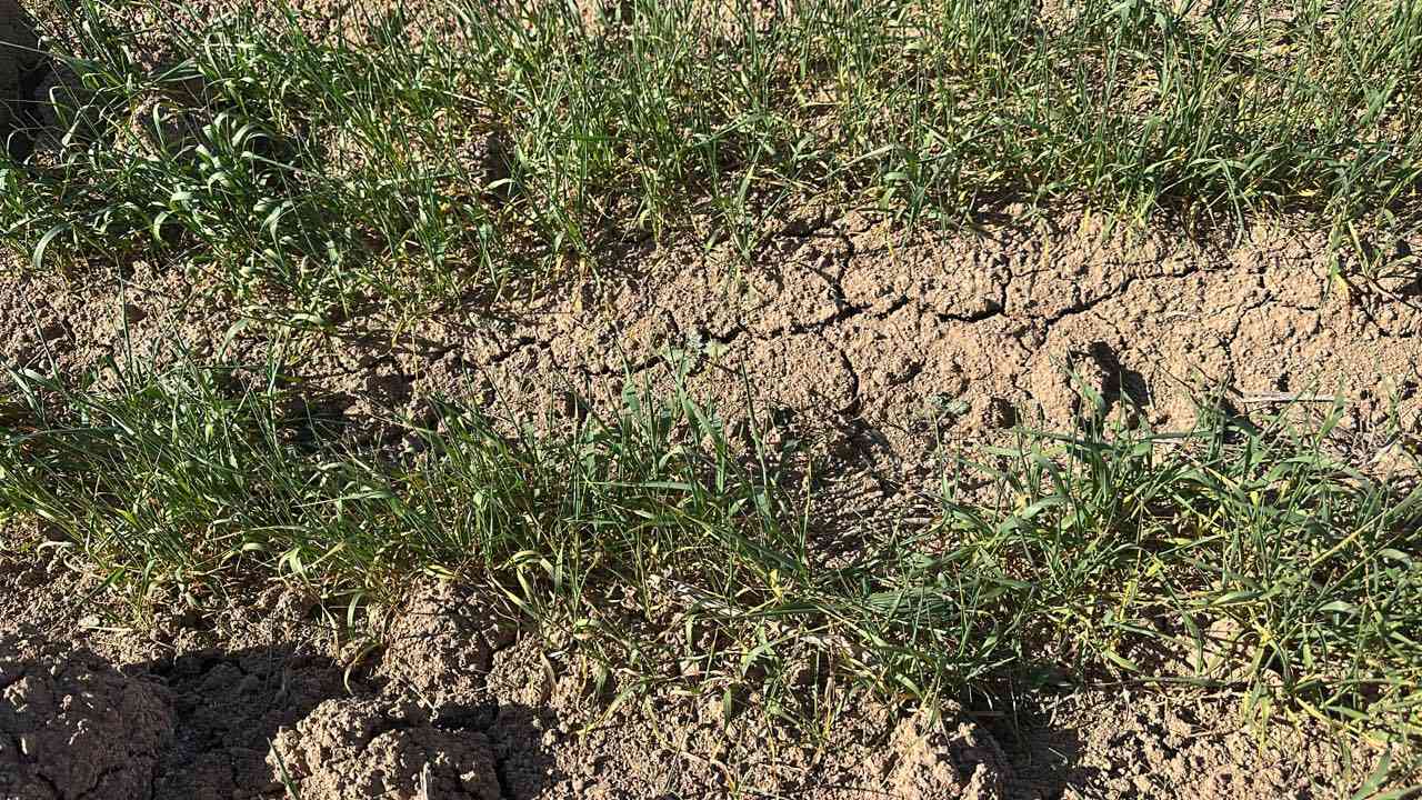 كوادر شركة صُنّاع الريادة تتسابق مع الزمن لإنجاز منظومات الطاقة الشمسية بأسرع وقت،
لضمان ريّ محاصيلكم في اللحظة التي يكون فيها النبات بأمسّ الحاجة إلى الماء 🌱☀️

نوفّر لكم حلول طاقة شمسية موثوقة لتشغيل المضخات والغواطس بكفاءة عالية،
مع تقليل كلفة التشغيل وضمان استمرارية الري حتى في أوقات انقطاع الكهرباء.

🔹 سرعة في التنفيذ
🔹 دقة في التركيب
🔹 جودة في المكونات
🔹 متابعة ودعم فني مستمر

مع صُنّاع الريادة… استثمر في الشمس لتحصد النجاح 🌾


**إذا كنت صاحب هذا الإعلان وتريد حذفه لأي سبب، رجاءا أرسل رسالة إلى الدعم الفني**