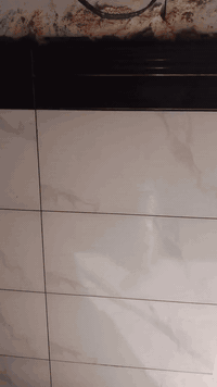 السلام عليكم
خلفه سيراميك ، بورسلين ، الواح متفرغ حالياً
اشتغل باليوميه وعلى المتر حسب الاتفاق
***********
