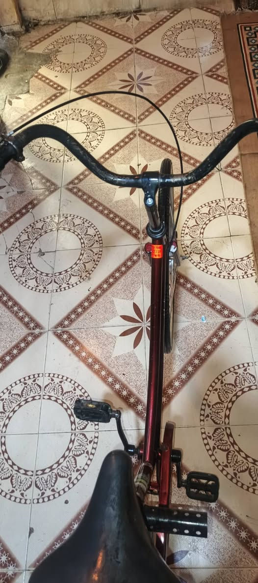 سلام عليكم شباب بيسكل للبيع السعر خاص


**إذا كنت صاحب هذا الإعلان وتريد حذفه لأي سبب، رجاءا أرسل رسالة إلى الدعم الفني**