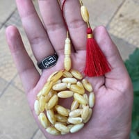 مسباحين كهرب • جبس شجري • ضمان مدى الحياة