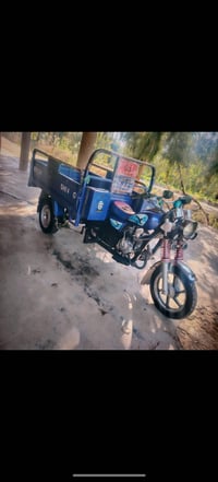 ستوته • موديل 23 • أوراق أصلية