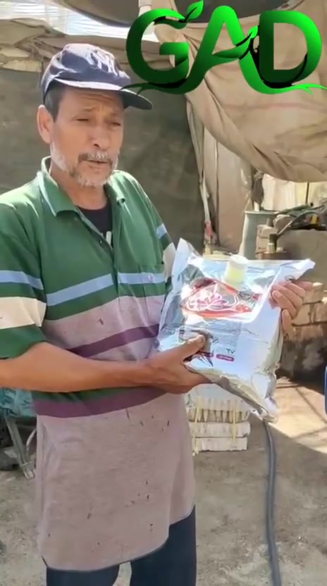 🚨 شتلة بدون جذور... وبعد 10 أيام فقط شوف حصلها إيه! 😳🌱

تجربة حقيقية من مشتل الوكيل لجميع شتلات الخضار وأمهات الفراولة 👨‍🌾✨

في البداية...
❌ الشتلة كانت بدون جذور تقريبًا.
❌ والنمو الخضري كان ضعيف جدًا.

📅 يوم 20/6/2026
تم استخدام النيماسان بلس لمعالجة النيماتودا ودعم الجذور.

📹 ويوم 1/7/2026
بعد 10 أيام فقط كانت النتيجة واضحة بإذن الله 👇

✅ ظهور جذور جديدة بشكل قوي.
✅ تحسن ملحوظ في حيوية الشتلة.
✅ بداية نمو خضري أفضل.
✅ فرق حقيقي موثق بالصوت والصورة.

والأجمل... ❤️
صاحب المشتل وثّق التجربة بنفسه، وورّانا الفرق قبل الاستخدام وبعده، والنتيجة كانت واضحة لكل من يشاهد الفيديو.

🌿 لأن قوة النبات تبدأ من الجذور... والاهتمام بها هو أول طريق لمحصول ناجح بإذن الله.

💚 نمو أقوى... محصول أوفر 💚

✨ لا تنتظر حتى تتفاقم المشكلة... ابدأ بالعناية بالجذور من البداية.

📲 للتواصل والاستفسار:

واتساب مباشر 👇
https://wa.me/201007607630

📞 01007607630
📞 01028804243

#النيماسان_بلس
#النيماسان
#النيماتودا
#مشتل_الوكيل
#شتلات_الخضار
#أمهات_الفراولة
#الفراولة
#جذور_النبات
#تنشيط_الجذور
#مشاتل
#الزراعة
#مزارعين
#تنمية_زراعية
#آل_جاد
#نمو_أقوى_محصول_أوفر
🌱🍓💚


**إذا كنت صاحب هذا الإعلان وتريد حذفه لأي سبب، رجاءا أرسل رسالة إلى الدعم الفني**