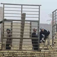 بابل المدحتيه • الحمزه الغربي • بناء وترميم