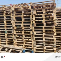سكيب القياص • ١٠٠×١٢٠ • بصرة