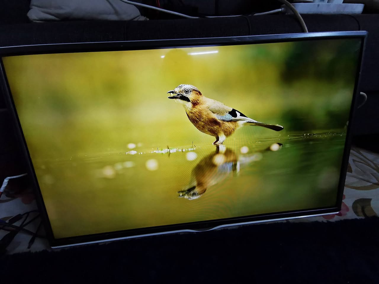 سلام عليكم عندي شاشه نوع LG كوري الأصلي حجم 32 نظيف بدون نت السعر 100 الف البياع حي الرساله الأولى قرب مدينة العاب الكرخ لتواصل علي الرقم ***********
WhatsApp +964***********
