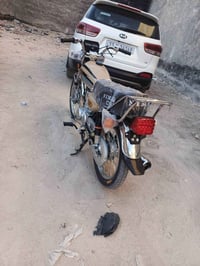 موديل 2025 • لون خاكي • اوراق اصولي