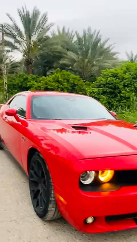 السلام عليكم جالنجر للبيع 2010 مكينه 3500 تبريد قطعتين +تدفئه مكينه وكير مكفولات السعر 82بيهه مجال الشراي ينتصل غير متواجد على فيس ***********
