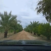 ١٥ دونم • طابو زراعي • واجهة ١٠٠م