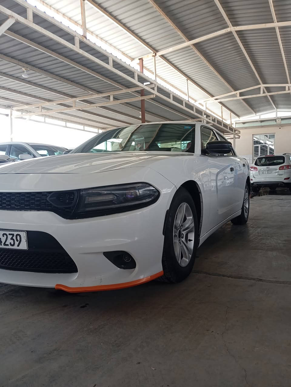 جارجر موديل 2016 بيه ثلاث قطع
سونار مرفق بلمنشور 

حداديه تخم تاير كير مكينه اكسل كفاله جاهزه 

شاشه جبيره كاميره حساسات خلفيه شفتات ستيرن 

رقم بغداد نكليزي هزه جديده 

قلعه سكر  سعر 175وبيه مجال

***********بي واتساب 

***********
