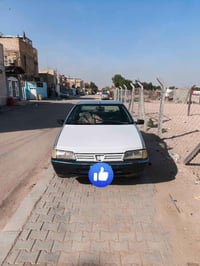 بيجو روى • ٢٠٠٩ • النجف الاشرف