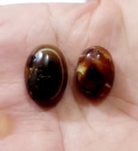 سليمانيات • قديمة • اكسسوارات