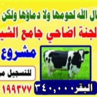 تعلن لجنة الاضاحي جامع الشيخ احمد ياسين عن مشروعها الأضاحي  السنوي لعا...