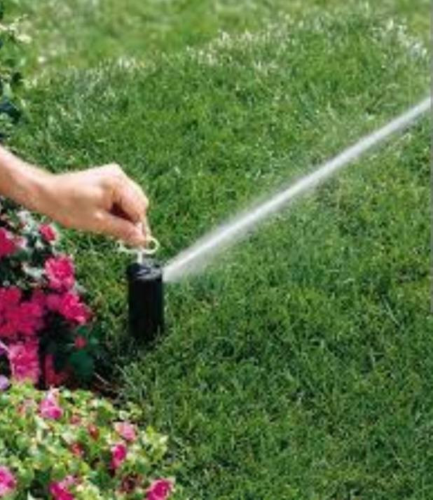 #إعلان مجموعة الضمان كادر هندسي متخصص في الأعمال الإنشائية 
عملنا اليوم في مجال المنظومات الزراعية 
#تجهيز و نصب و صيانة المضخات الأرضية و الغاطسة 
#تجهيز و نصب منظومات الري الحديثة للمزارع و البساتين
#تجهيز و نصب مرشات الحدائق 
# للطلب او الصيانة الإتصال على الرقم ***********
موجود واتساب
