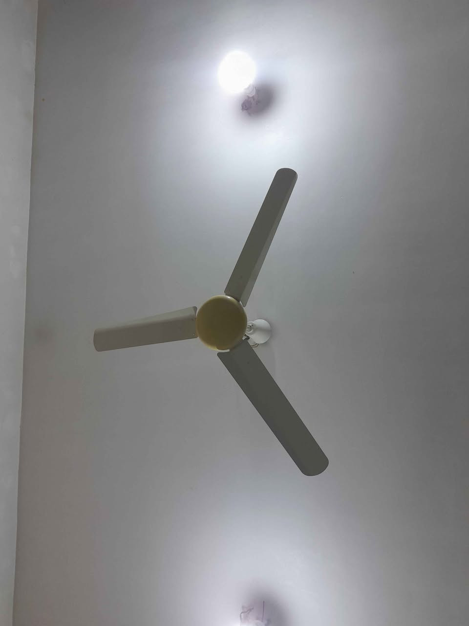 مراوح سقفيه سانيو ياباني العدد ٣ المكان بغداد بغداد, العراق


**إذا كنت صاحب هذا الإعلان وتريد حذفه لأي سبب، رجاءا أرسل رسالة إلى الدعم الفني**