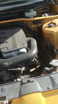 بيجو راوة • ٢٠٠٩ • ترخيص بصرة