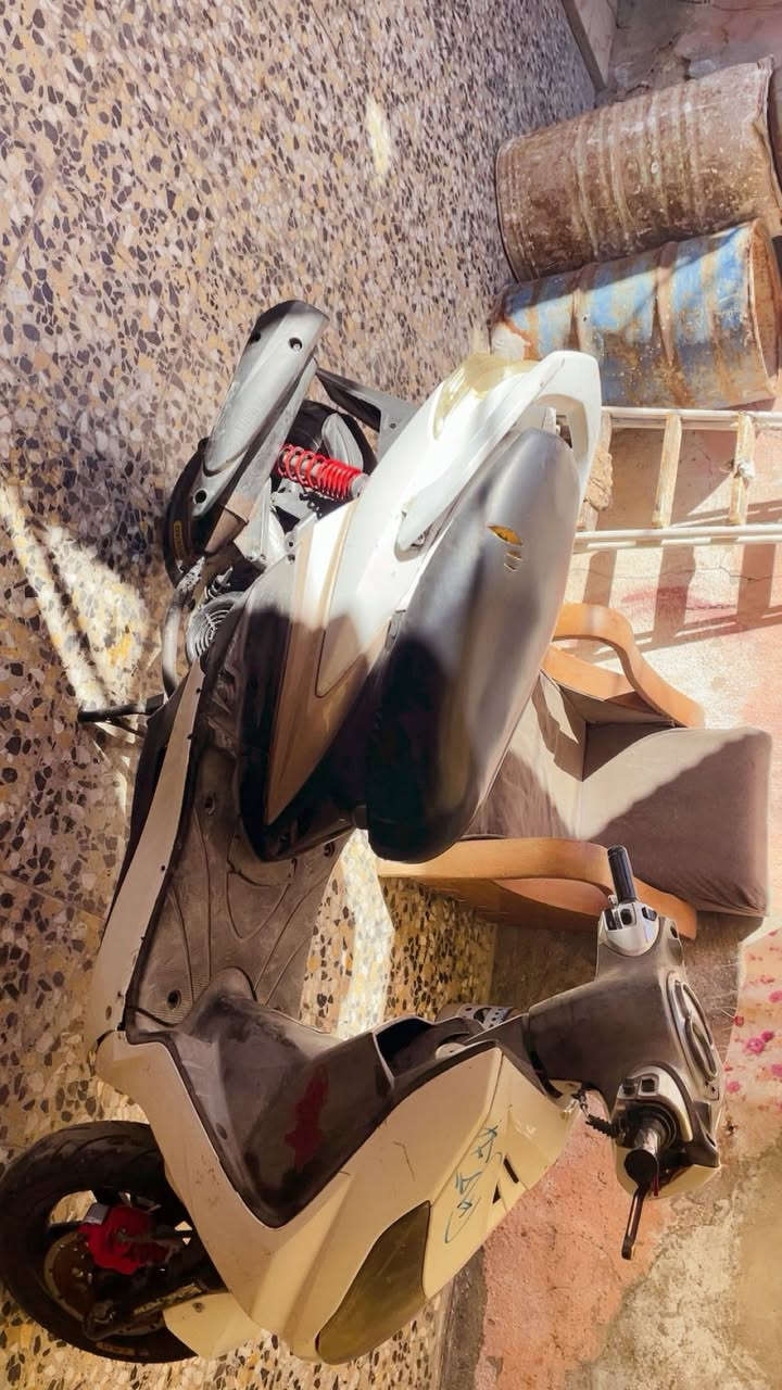 سكنس فحل بلادي مكفوله كفاله السعر 600وبيها مجال للطيبين مكان مدينه الصدر   رقم ***********1
