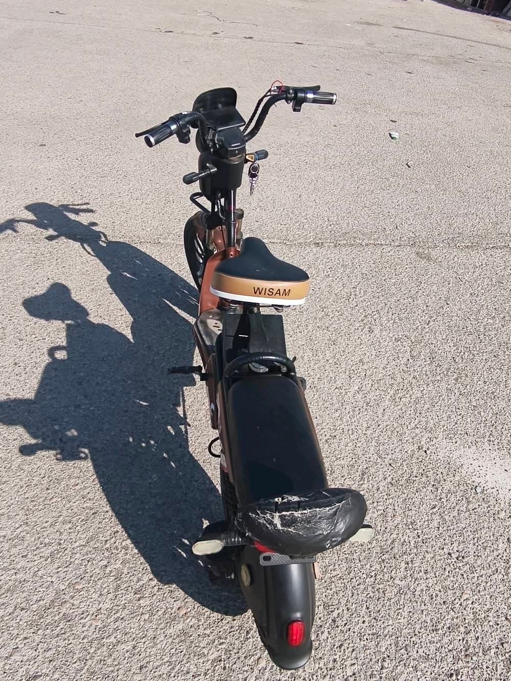 الكوت العزه 