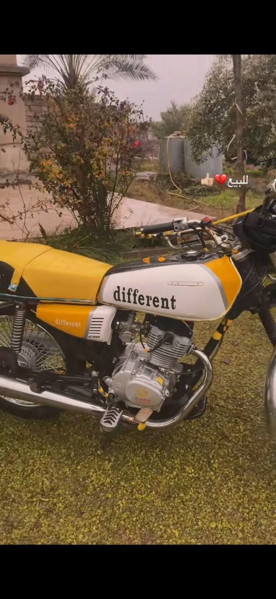 تايگر2020 لونيني ابوالدروعه وزن ثقيل
كهربائيات بگلايت اشاير كلهة شرط 🔥

مكاني قريه الزاويه 
السعر 400 وبي مجال حگ جيتك
***********
