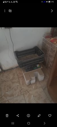 ادوات محل دجاج • معدات مطاعم • للبيع