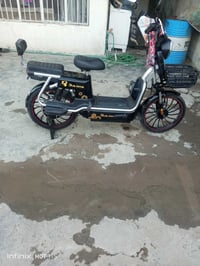 دراجة شحن • موديل 24 • بطاريات نضيف