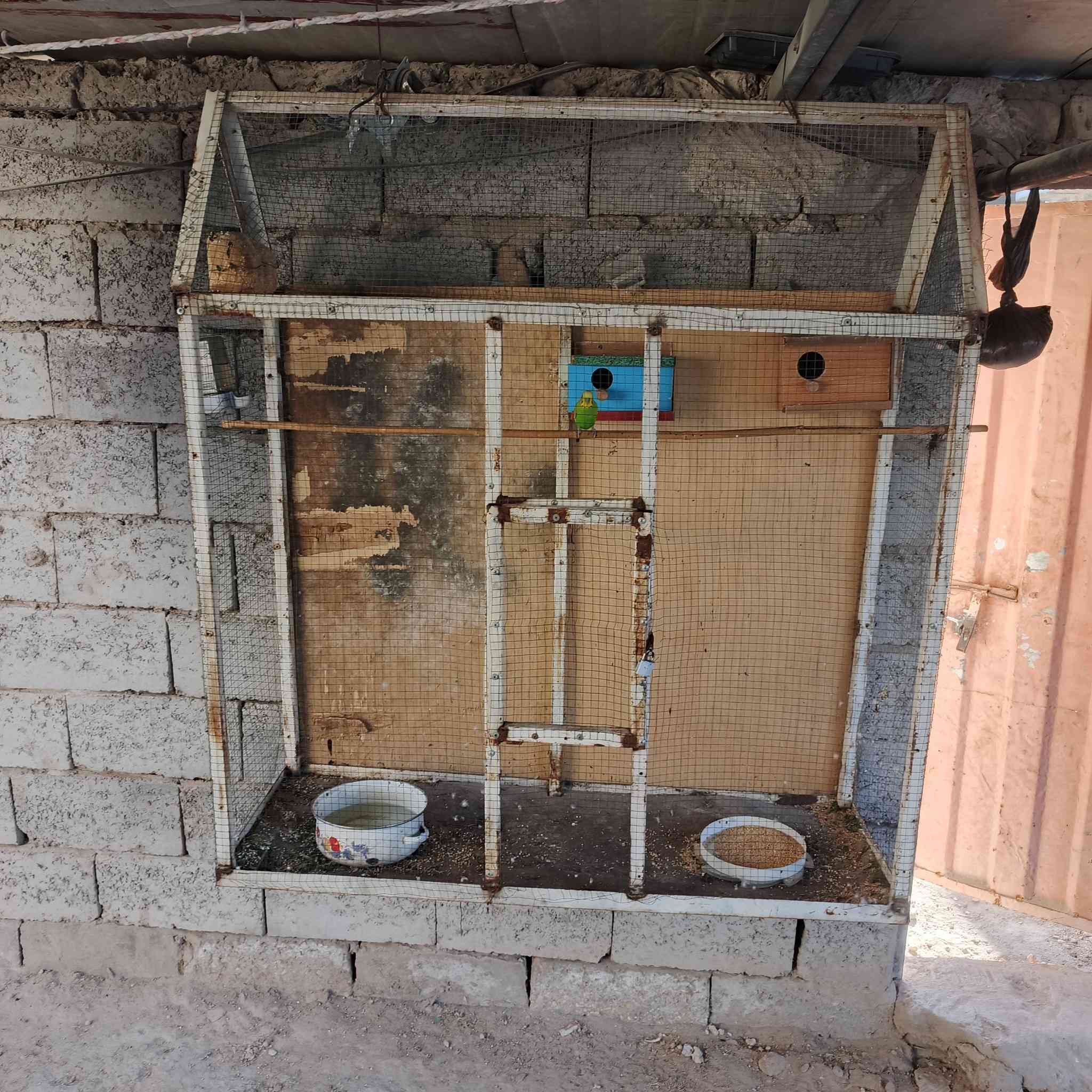 السلام عليكم قفصين للبيع في النجف حلوات ومرتبات بدون الطيور قيم واخذ


**إذا كنت صاحب هذا الإعلان وتريد حذفه لأي سبب، رجاءا أرسل رسالة إلى الدعم الفني**