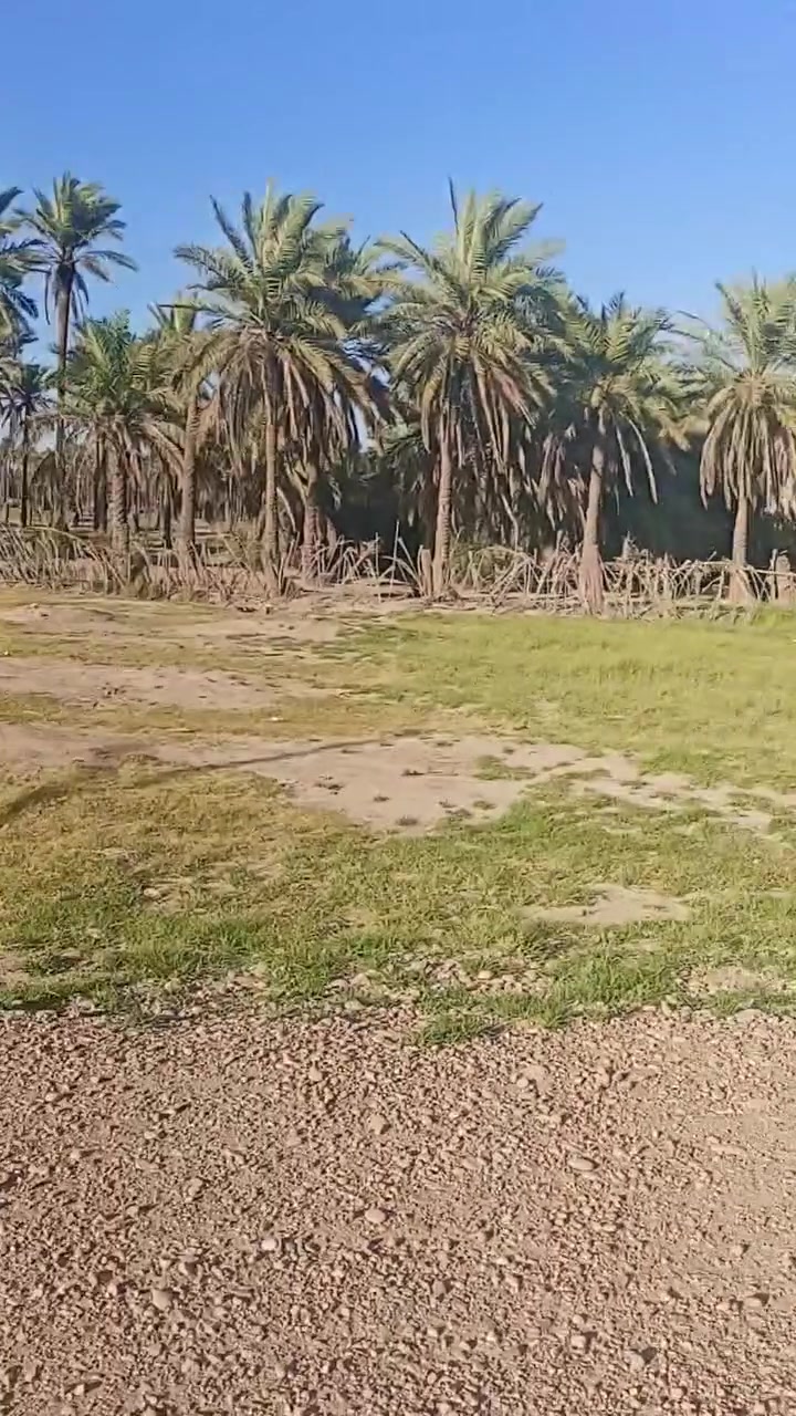 قطعت ارض 200 متر للبيع قريبه عل الشارع الحولي السعر عل خاص ***********
