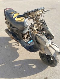 فراشه • فحل • بالخصيمه