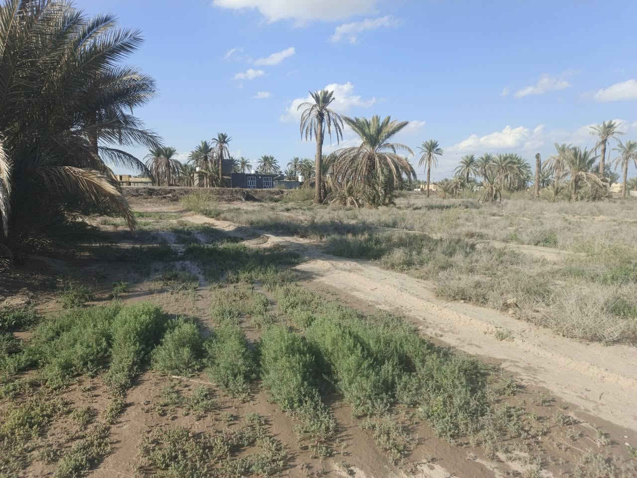 ارض للبيع 

مساحه ١٥٠٠ متر تبعد عن تبليط ٢٠٠ 
بيع مستعجل رقم الهاتف *********** واتساب ***********
كهرباء و مي ساله موجود و ارض سكنيه 
مكان حله خلف جامعة بابل منطقة ابراهيم الخليل
