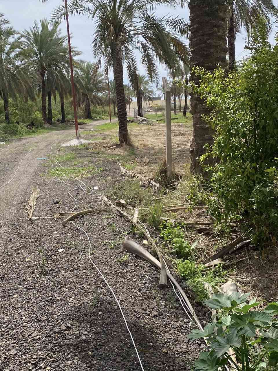 يالله السلام عليكم احبتي يتوفر دوانم حسب الطلب المدائن سده الجعاره قرب شارع سيد علي بستان كامل واجه الدونم ٢٨اي ستفسار اتصل 
***********
