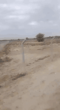 بزل حجي علي • ١٧٠٠م • طابو زراعي