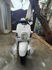 دراجة بوليس • شاشة إلكترونية • مشتل