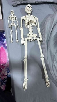 ديكور • هيكل وعظمة • صغير وكبير