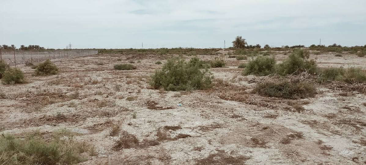 السلام عليكم.. ارض زراعية للبيع منطقة السورة.. الجلاع... المساحة 5 دونم عليها نهرين من اليمين واليسار شارع 6 متر ارض عاليه للزراعه للأستفسار ***********
