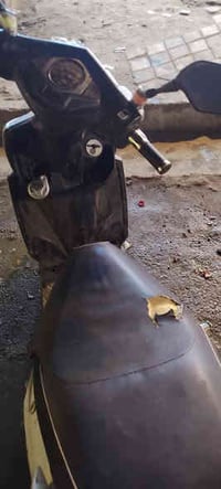 دراجه • نظيفه • بغداد